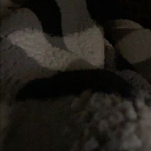 Meet your Posher, Dalo